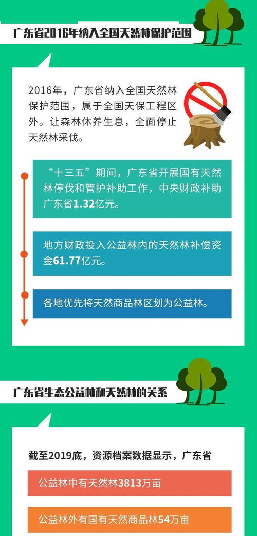 什么是天然林 一起来看看广东天然林保护修复工作